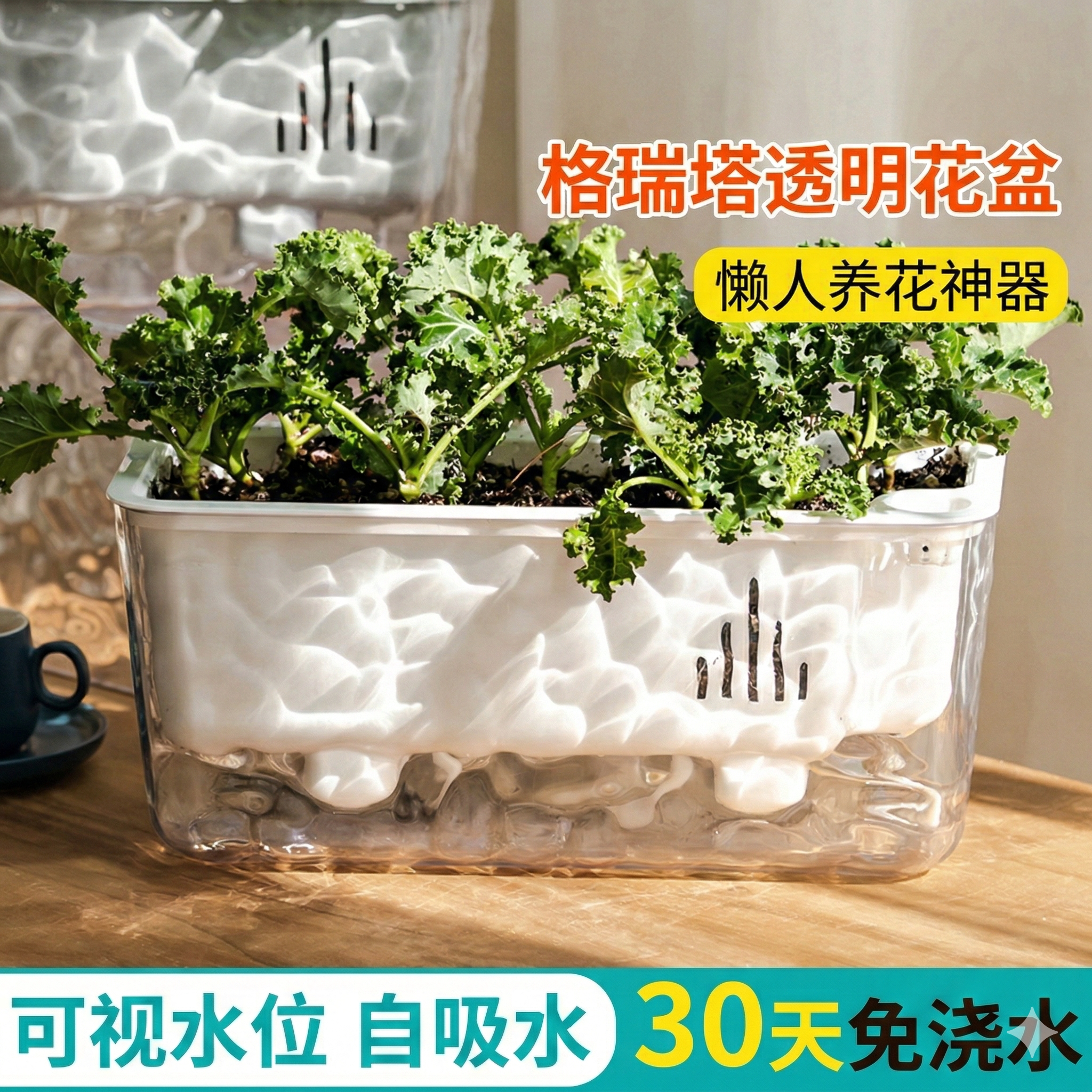 阳台懒人自动吸水花盆长条型家用绿箩透明种植盆长方形绿萝自吸水