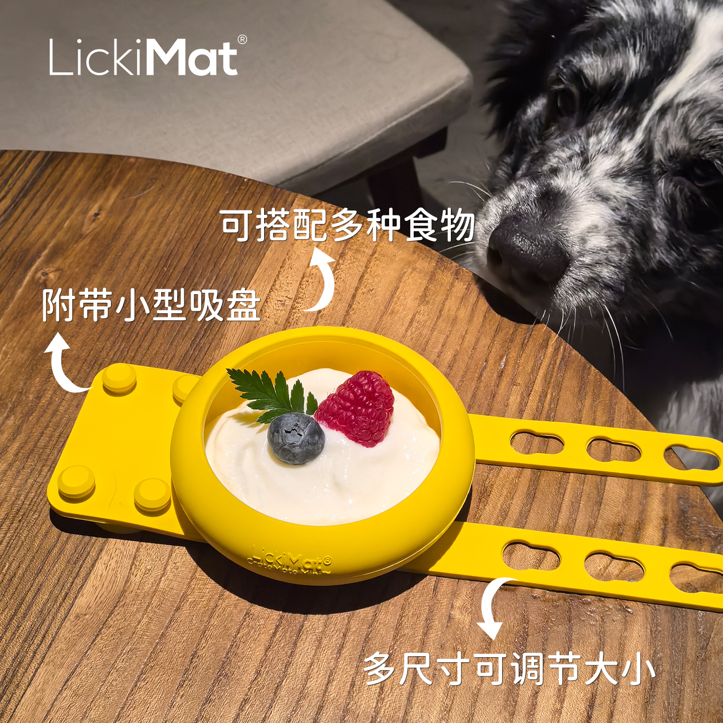 Lickimat狗狗训练丰容互动玩具