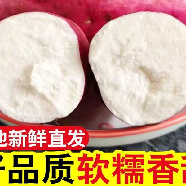 自种新鲜地瓜白心牛奶红薯软糯香