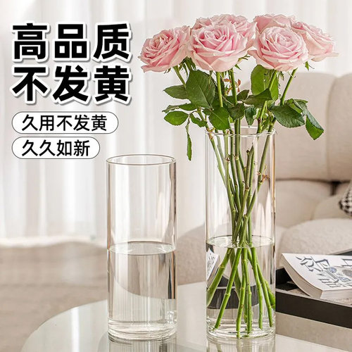 亚克力防摔花瓶摆件高级感醒花桶