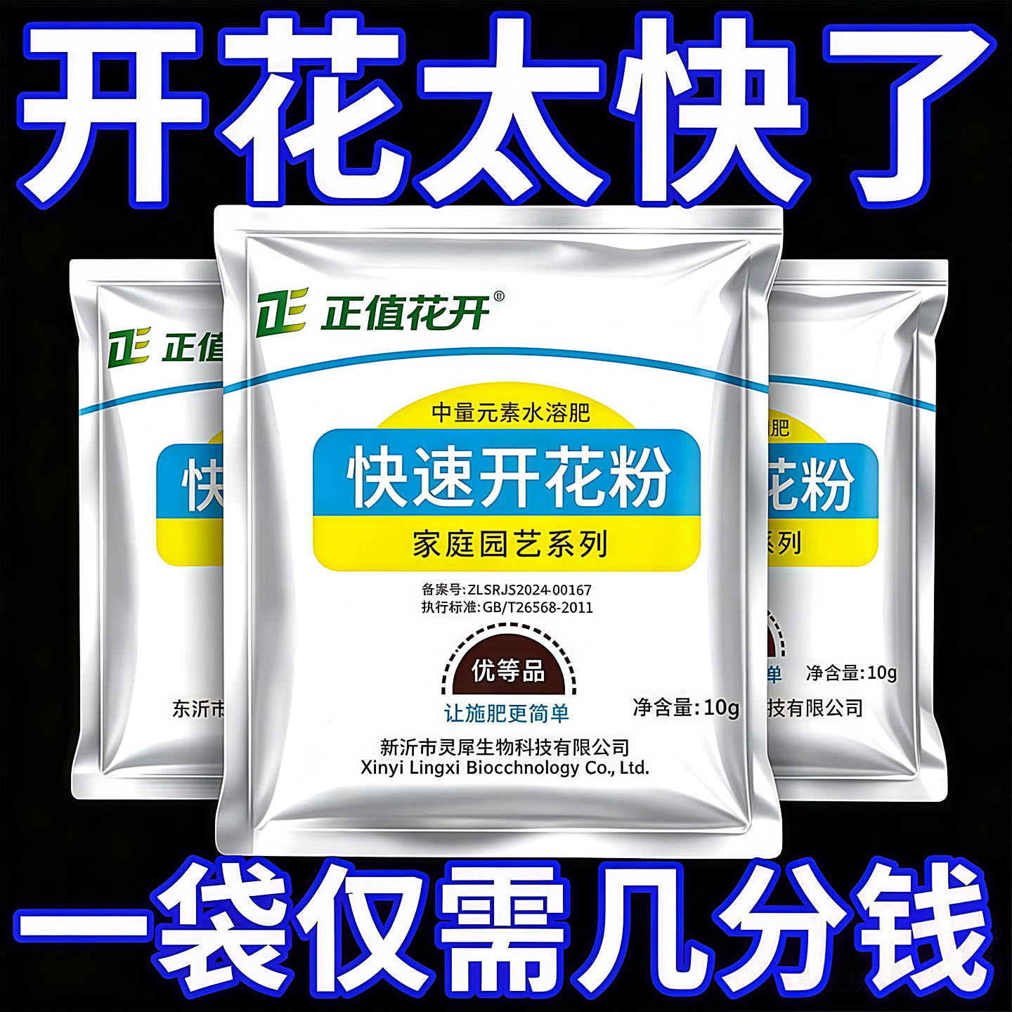 快速开花粉三角梅茶花茉莉盆栽通