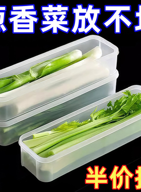 保鲜盒食品级大葱香菜芫荽整根姜蒜挂面条鸡蛋收纳整理盒冰箱专用