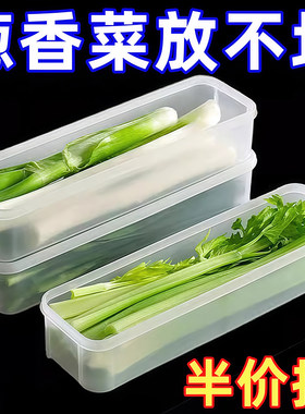 葱香菜保鲜盒食品级收纳冰箱专用