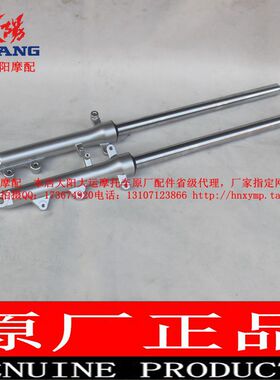 大阳摩托车原厂配件DY125-3悦有DY150-27前R减震器 避震器 前叉