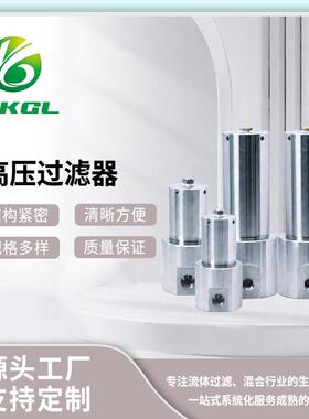 压过滤器大流量厂家供应大通量保安不锈钢过滤器压过滤器