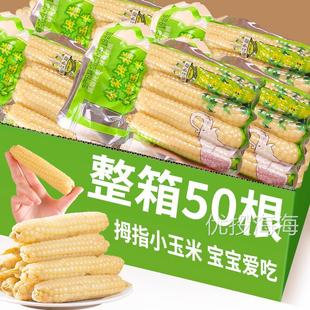 纳拇指玉米即食早餐代餐新鲜傣家甜香糯迷你手指小玉米 云南西双版