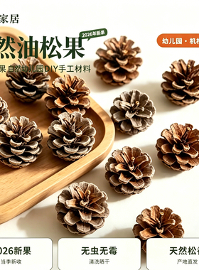 爱屿圣诞松塔松果DIY手工材料