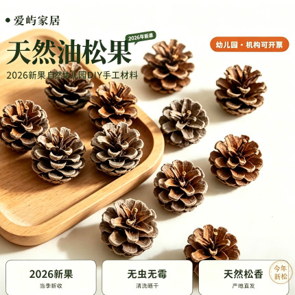 松果圣诞松塔摆件幼儿园儿童手工材料diy材料松果球手工装饰画