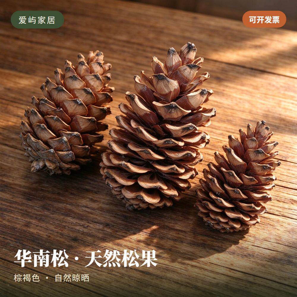 华南松创意摆件拍摄道具松果画材料手工DIY干花大号松果