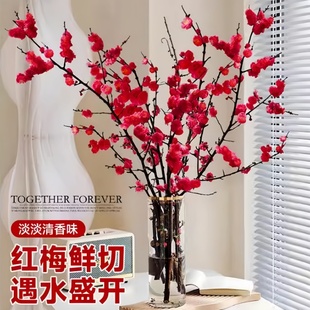 红梅干枝水培植物真花雪柳鲜枝带花苞鲜花卉植物室内桃花支腊梅花