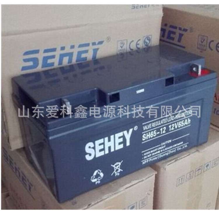 SEHEY西力蓄电池12v65ah  NP65-12 UPS太阳能路灯免维护蓄电池