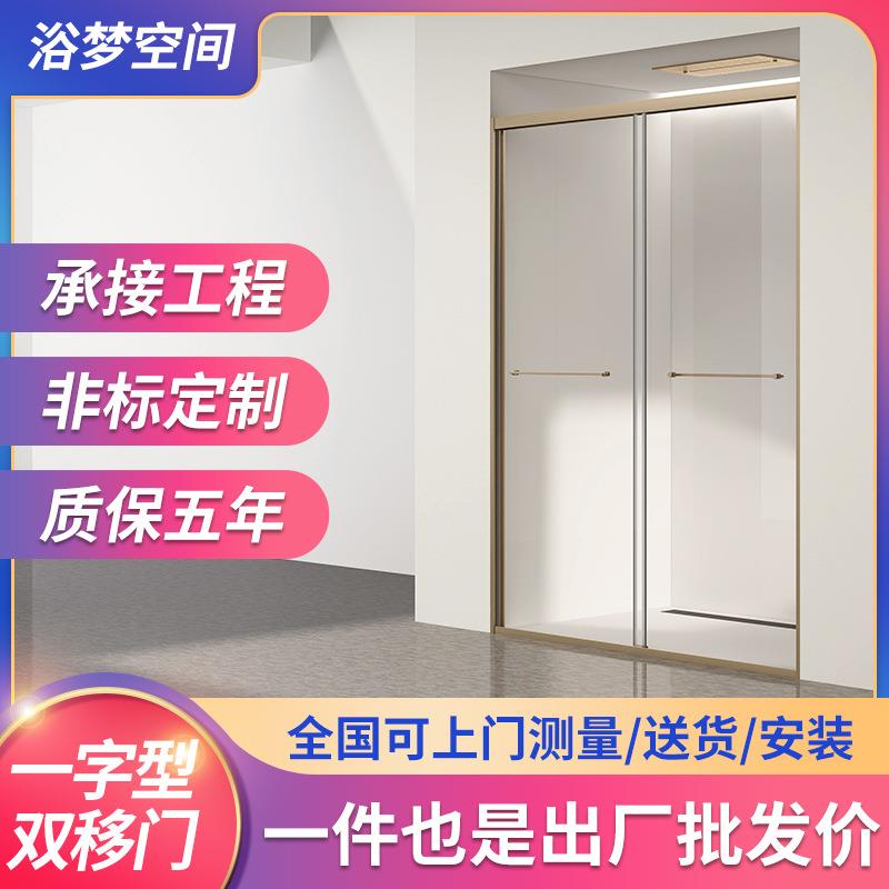 一字型双移门淋浴房干湿分离钢化玻璃隔断卫生间下沉式浴室淋浴房