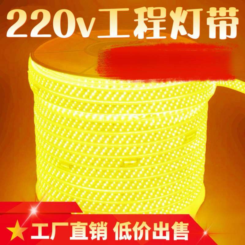 led100灯带套装超亮户外防水220v变光家装工程工地亮化暖光白光