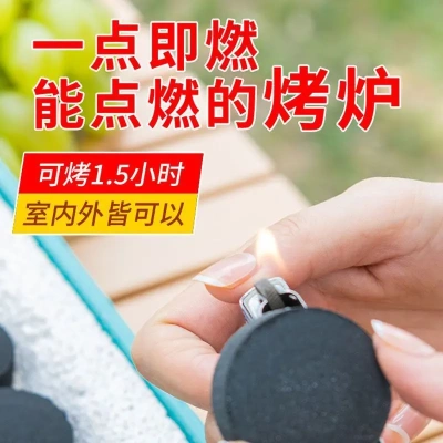 一次性烧烤炉家用室内烤肉烤串烤鱼烟架子户外野营野餐专用烤盘
