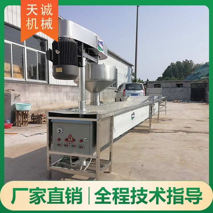 天诚牌大型鲜土豆粉生产机器 不锈钢火锅宽粉设备包教包会