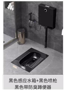家用酒店宾馆卫生间黑色陶瓷蹲便器感应水箱厕所大小防臭便池蹲坑