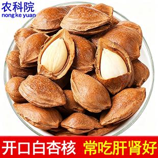农科院新款开口白杏核原味无添加大颗粒甜杏仁坚果零食官方旗舰店