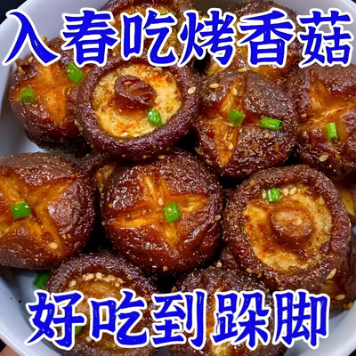 烤香菇菌类孜然香辣卤味熟食办公室休闲解馋零食网红小吃养生茶