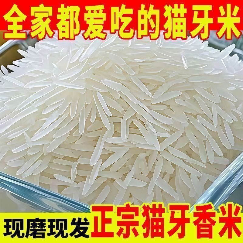 【净重10斤】猫牙香米现磨直发农家长粒香米10斤丝苗米煲仔饭批发