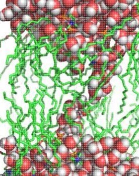 Gromacs/mac/win分子动力学软件模拟