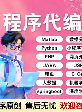 matlab代码帮做python代编程simulink建模复现仿真C#爬虫代做java