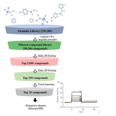 虚拟筛选/virtual screening/批量对接/药物发现/小分子蛋白对接/
