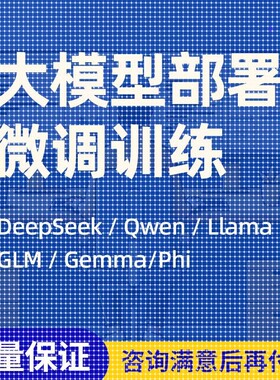 大模型微调训练python代编程Llama2环境配置代码代跑深度学习指导