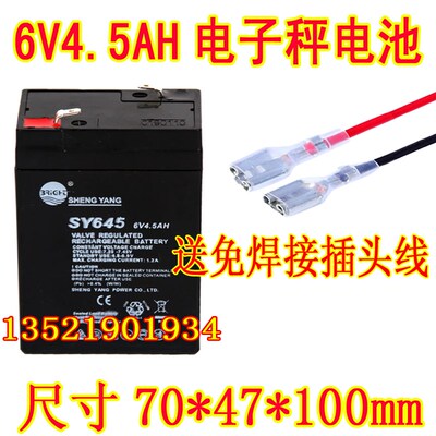 SHENGYANG晟阳蓄电池 SY645 6V4.5AH玩具车 童车 电子称用电瓶