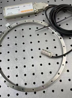 雷尼绍圆光栅 英国  RENISHAW  RESR20 RGH20B  10纳米分辨率