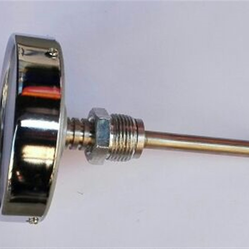 0-300度双金属温度计接头在背面螺纹m27x2 表盘直径100mm wss-401