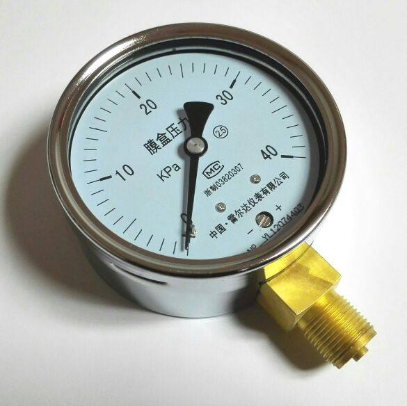 雷尔达仪表 膜盒压力表 YE-100 0-40kpa m20x1.5 直径100mm 2.5级