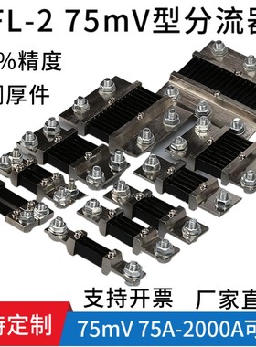 FL2 75mV05S级外附定值电阻直流电流表分流器100A200A300A1000A