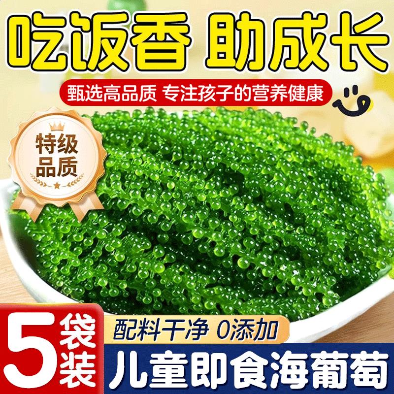 海葡萄儿童即食海葡萄植物鱼子酱海藻凉拌菜盐渍水葡萄爆珠浆海草