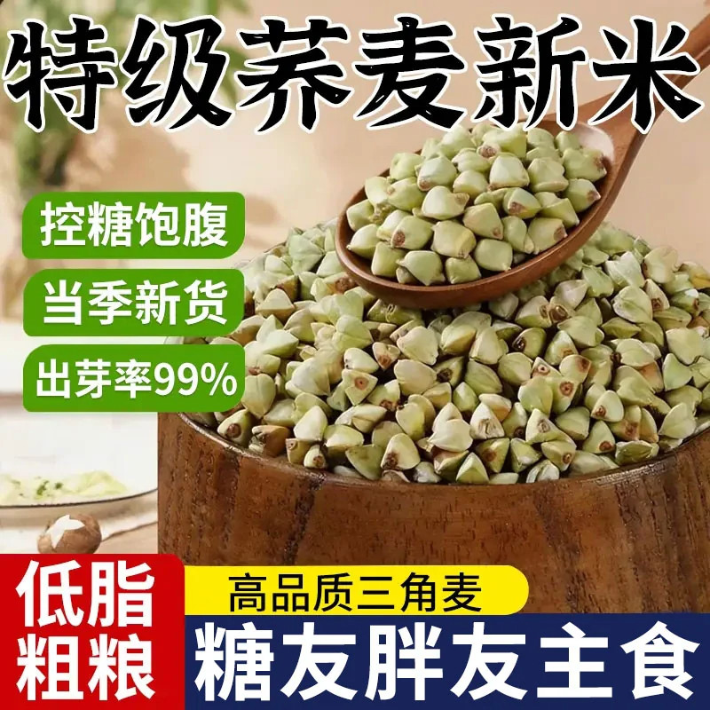 内蒙荞麦米官方旗舰店苦荞麦2026新粮五谷杂粮饭农家疙瘩饭粗粮