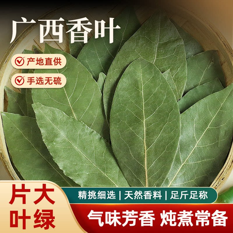 香叶正宗广西香料头茬新货官方旗舰店无硫天然月桂叶香料调味卤料