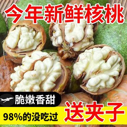 新鲜核桃新货湿核桃2025带去青皮核桃绿皮核桃当季5斤当季生黑桃