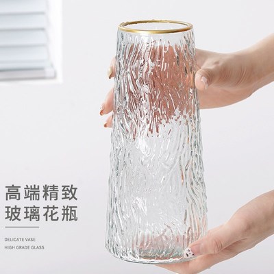 玛丽安水培植物盆栽万年青富贵竹室内绿植好养植物客厅净化空气花