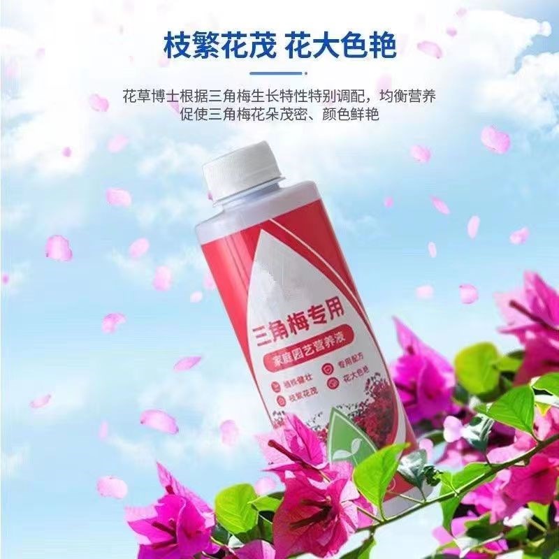 三角梅促花肥料专用肥植物营养液盆栽家用花卉促开花梅花通用