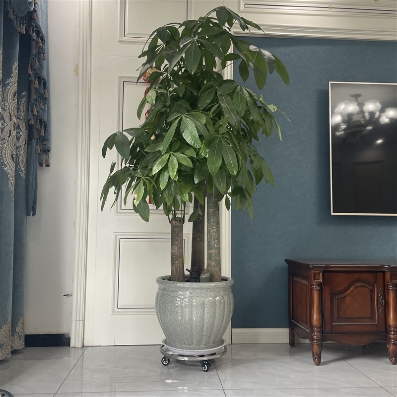 不锈钢圆形可移动大花盆托盘底座承重托架带滚轮花架滑轮鱼缸底座