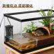 黄缘龟专用缸半水龟饲养箱乌龟生态玻璃水陆缸安缘龟缸造景套餐