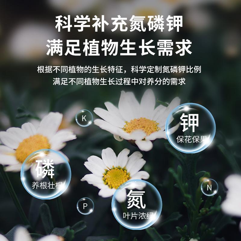 仙葩液体肥浓缩营养液通用型植物花卉盆栽花肥绣球多肉月季肥料