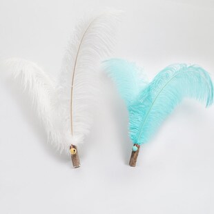 元更元逗猫棒加长1.6m  鸵鸟毛杆身柔软 猫咪玩具 多色可选