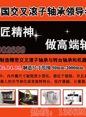 高精度交叉滚子轴承RE16025 RE17020 RE18025 数控机床P5 P4 P2