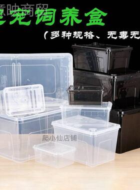 NHZ爬宠饲角养盒两栖龟蜗蜘蛛守宫蛙大号乌饲养箱带牛躲避造景爬