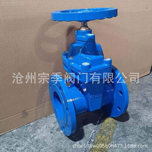 国标软密X兰封闸阀明LKY杆暗杆法闸阀 Z45 球磨铸铁弹性封法兰座