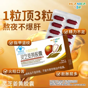 华喜达中和鸿业牌灵芝姜黄胶囊辅助保护化学性肝损伤官方正品