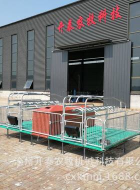 两用型复合板产床BMC双体连体母猪分娩床升级版母猪分娩产床