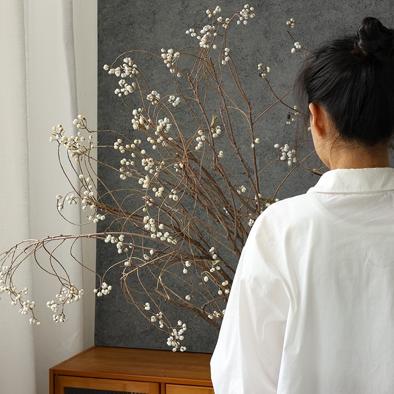 乌桕果小白果干花花束树枝树干民宿干枝干果O装饰插花侘寂风干真