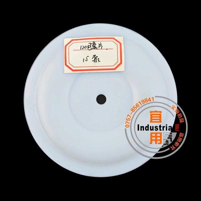 A10 Ac15 A20A26A31气动隔膜泵膜片四氟耐腐蚀隔膜片110 120 142m,标准件/零部件/工业耗材,输送带/传送带,淘宝优惠券,粉丝福利购,淘宝优惠卷