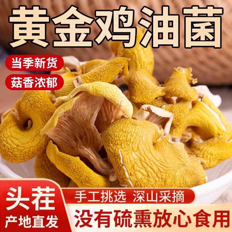 【炖鸡太鲜了】鸡油菌干货新鲜特级黄金菇2025年新货特产菌汤包